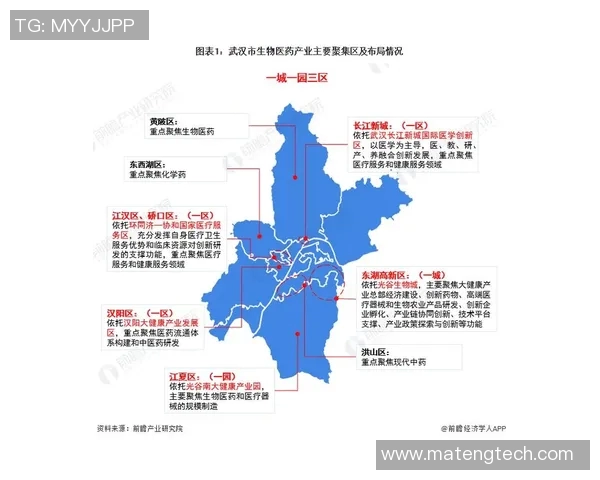 武汉篮球队状态分析与未来展望聚焦球队表现与战术调整