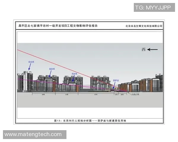 杭州飞盘队快攻战术分析与比赛表现评估