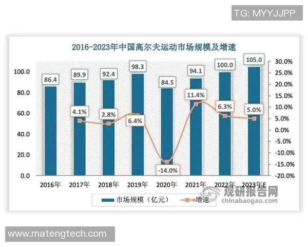 武汉排球队意识对比深度解析与发展趋势探讨