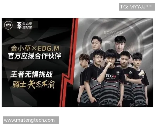 王者荣耀背后的故事：EDG战队奋斗历程全景回顾与启示