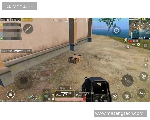 赵敏独家揭秘和平精英游戏技巧与心得分享助你成为战场高手