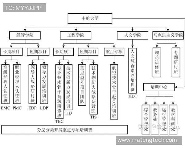 上海排球队的运营揭秘:深度解析背后的管理与战略 上海排球队的运营揭秘:深度解析背后的管理与战略