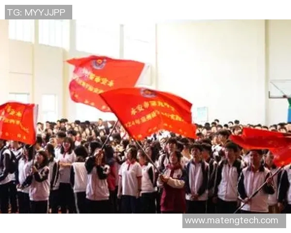 专访杨芳：深入探讨排球运动背后的成功秘诀与团队精神