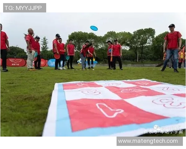 从零基础到高手飞盘配合技巧与实战攻略全解析
