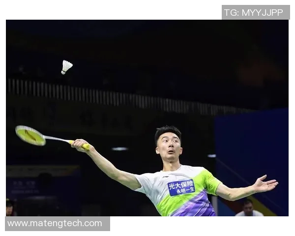 北京羽毛球队联赛表现分析:个人能力的突出与不足之处