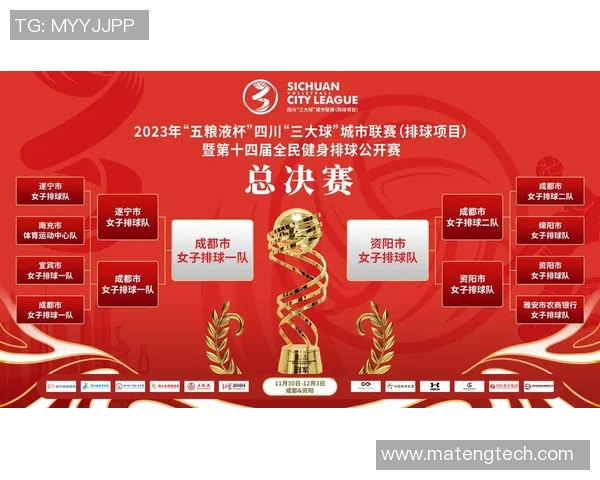 成都排球队球员个人能力分析与表现评估研究