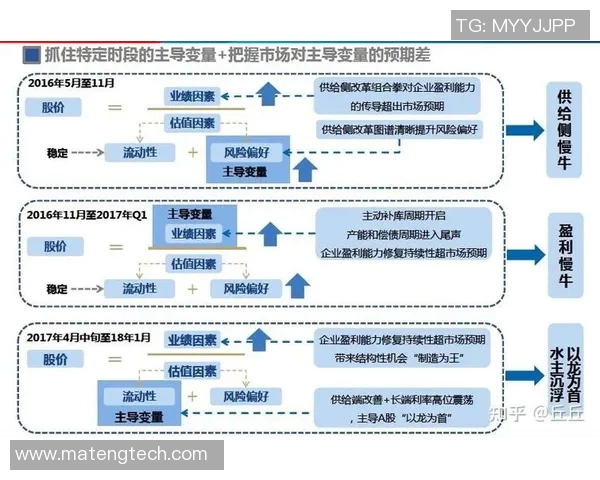 深入分析上海排球队的运营策略与市场推广模式
