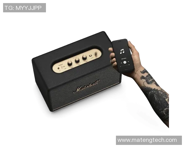 斯通斯的音乐传奇与文化影响力探讨：从摇滚先锋到时代象征的历程