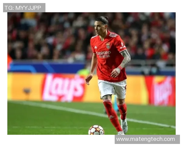 努涅斯在赛场上的崛起与挑战：从新星到球队核心的成长之路