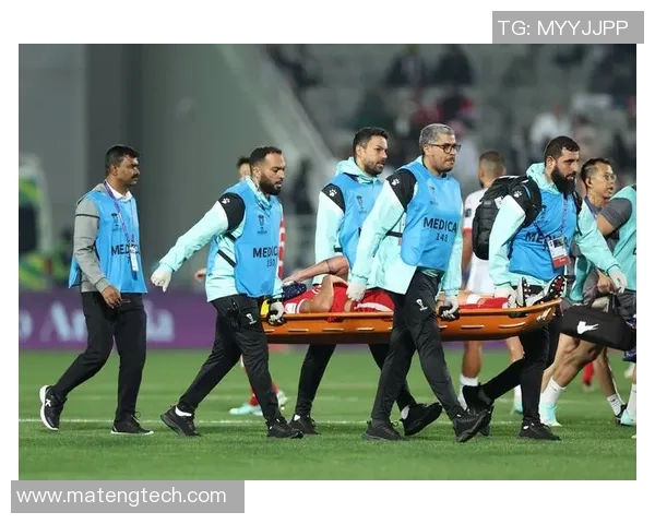 香港与巴勒斯坦实力对比分析谁更具竞争优势