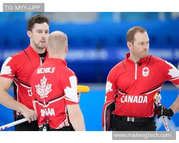 2018年瑞典与丹麦精彩对决全场录像回放及精彩瞬间分析