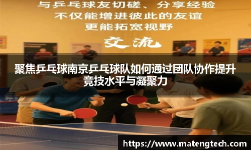 聚焦乒乓球南京乒乓球队如何通过团队协作提升竞技水平与凝聚力
